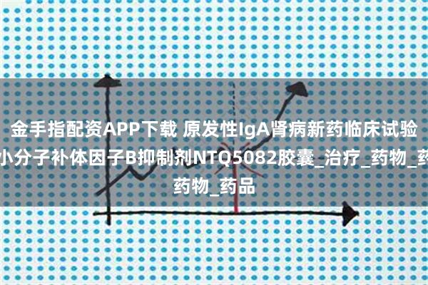 金手指配资APP下载 原发性IgA肾病新药临床试验：小分子补体因子B抑制剂NTQ5082胶囊_治疗_药物_药品