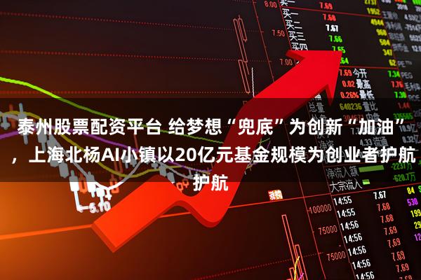 泰州股票配资平台 给梦想“兜底”为创新“加油” ，上海北杨AI小镇以20亿元基金规模为创业者护航
