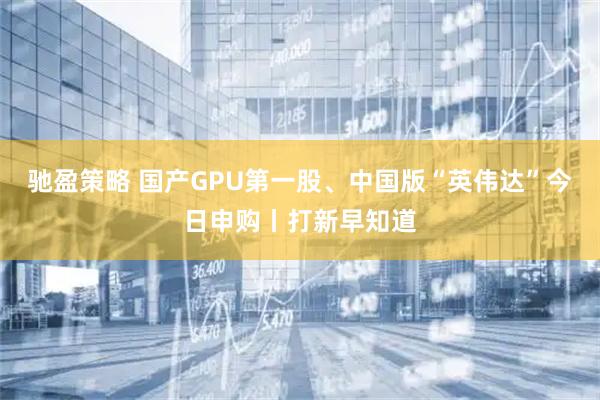 驰盈策略 国产GPU第一股、中国版“英伟达”今日申购丨打新早知道