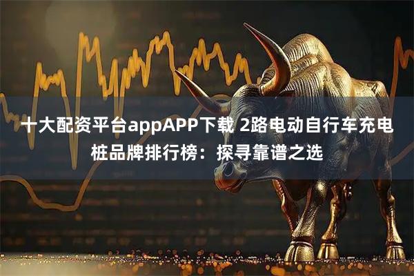 十大配资平台appAPP下载 2路电动自行车充电桩品牌排行榜：探寻靠谱之选