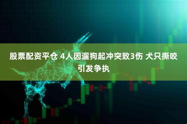 股票配资平仓 4人因遛狗起冲突致3伤 犬只撕咬引发争执