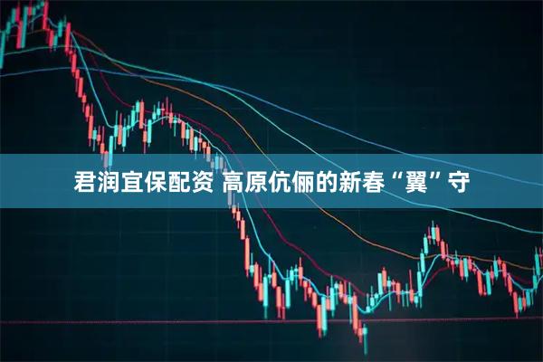 君润宜保配资 高原伉俪的新春“翼”守