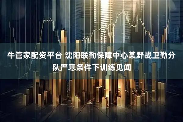 牛管家配资平台 沈阳联勤保障中心某野战卫勤分队严寒条件下训练见闻