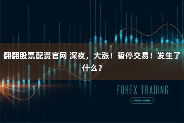 翻翻股票配资官网 深夜，大涨！暂停交易！发生了什么？