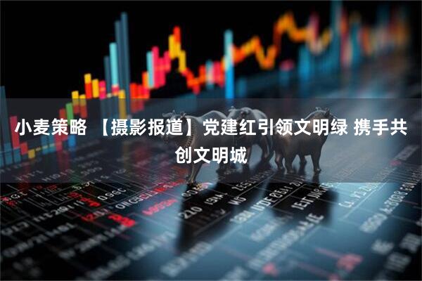 小麦策略 【摄影报道】党建红引领文明绿 携手共创文明城