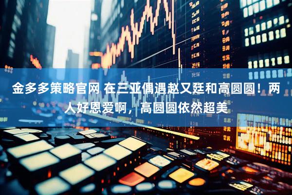 金多多策略官网 在三亚偶遇赵又廷和高圆圆！两人好恩爱啊，高圆圆依然超美